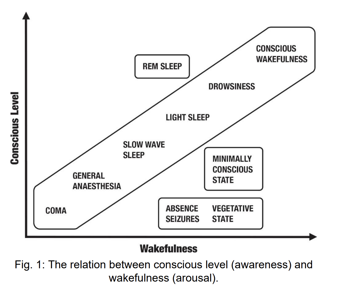 Fig 1: the relation between conscious level (awareness) and wakefulness (arousal)
