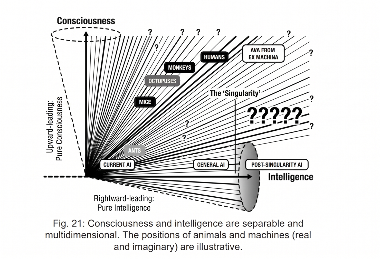 The same chart, annotated: the many possible trajectories training could take