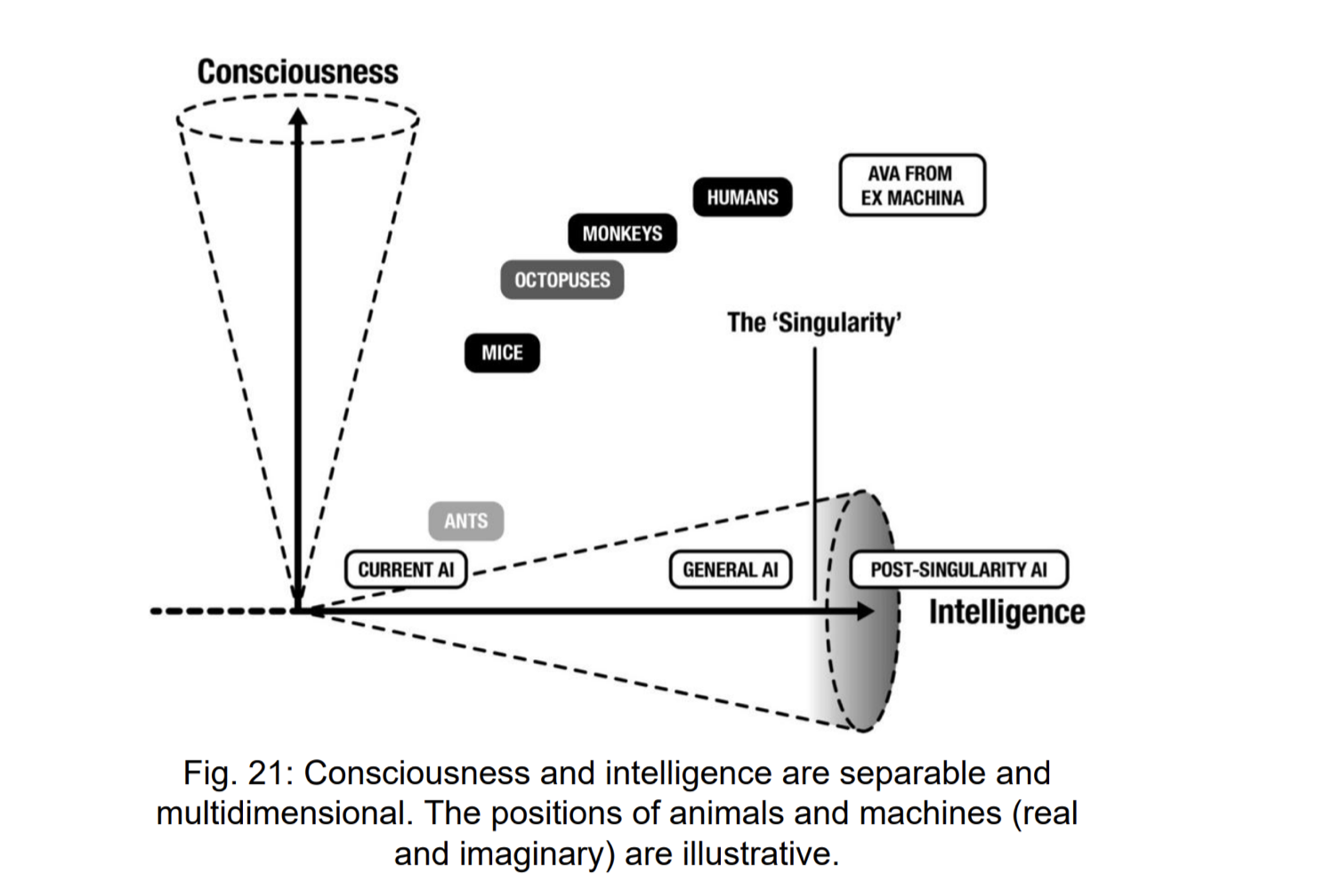 Fig 21: consciousness and intelligence are separable and multidimensional